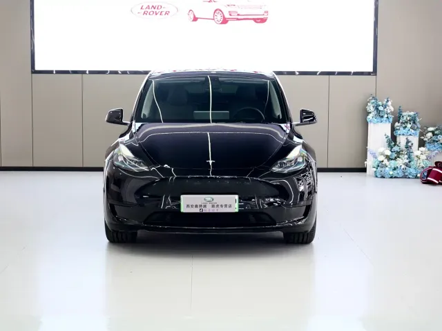 Tesla Model Y — Фото автомобиля 3