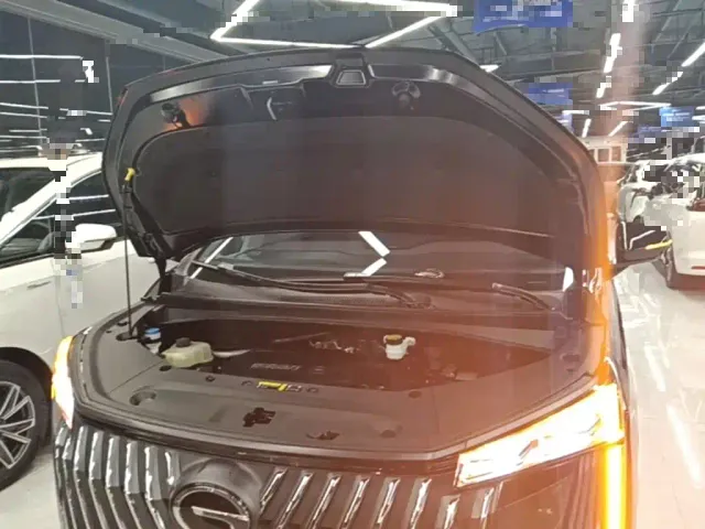 GAC Trumpchi M8 — Фото автомобиля 19