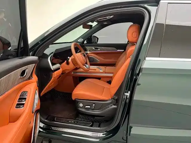 Wey Lanshan — Фото автомобиля 21