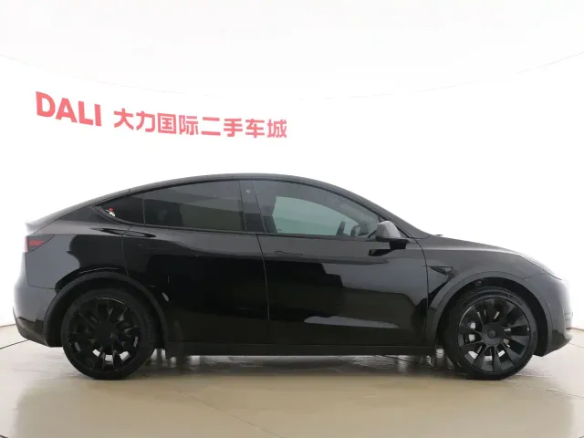 Tesla Model Y — Фото автомобиля 12