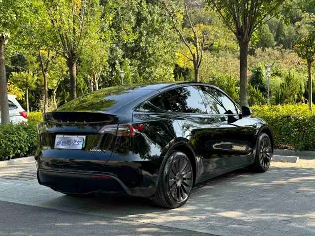 Tesla Model Y — Фото автомобиля 5
