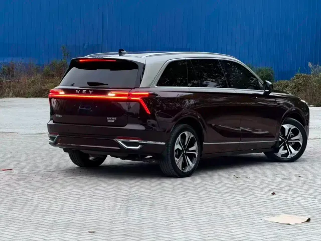 Wey Lanshan — Фото автомобиля 2