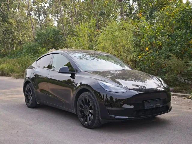 Tesla Model Y — Фото автомобиля 3