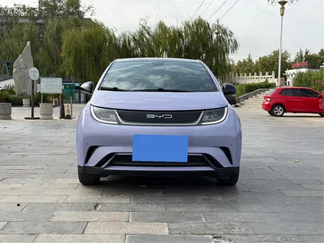 BYD Dolphin — Фото автомобиля 2