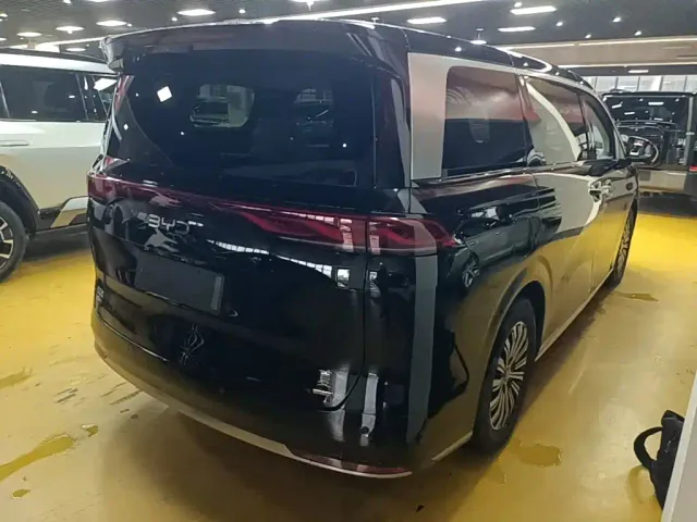BYD Xia — Фото автомобиля 6