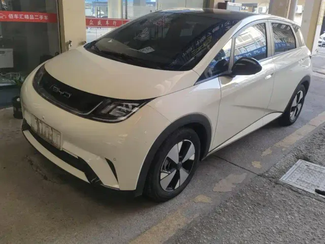 Фотография автомобиля — BYD Dolphin