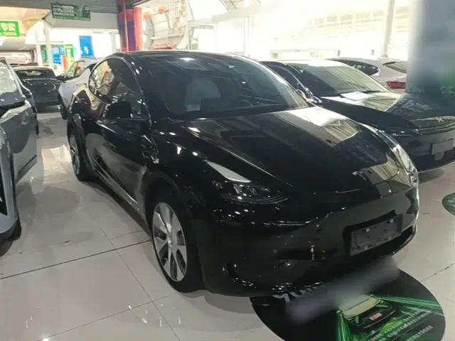 Tesla Model Y — Фото автомобиля 3