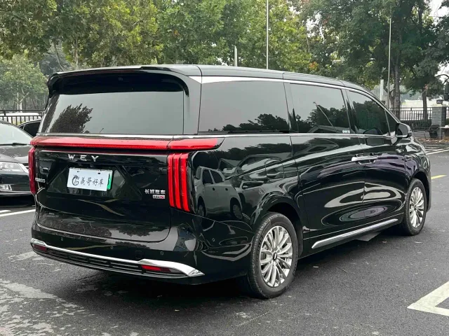 Wey Alpine — Фото автомобиля 6