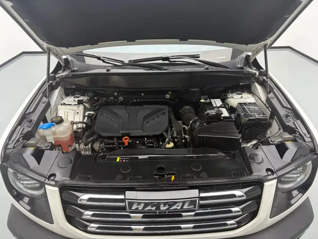 Haval Big Dog — Фото автомобиля 19