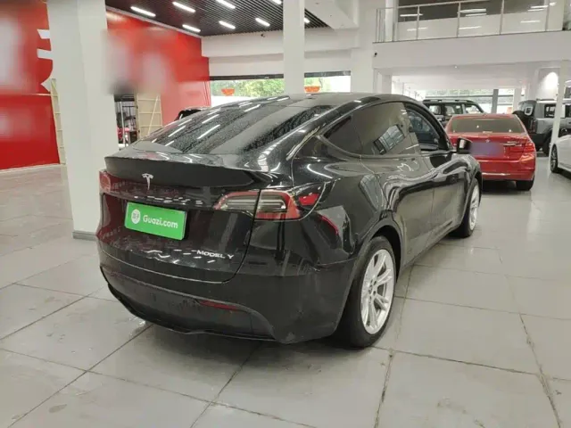 Tesla Model Y — Фото автомобиля 6