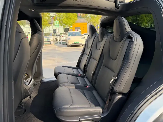 Tesla Model X — Фото автомобиля 6
