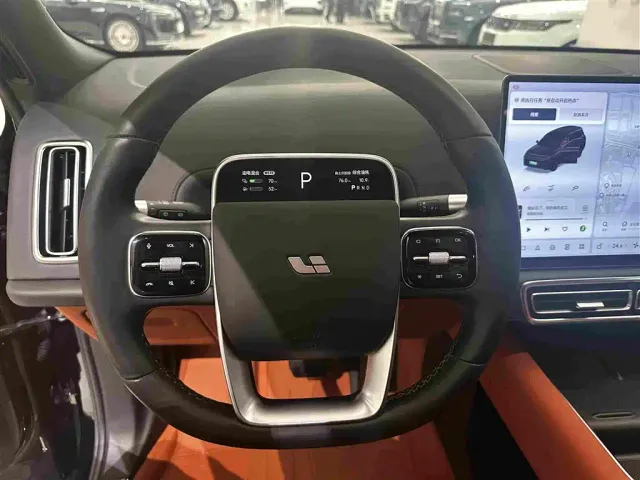 Li Auto L9 — Фото автомобиля 7