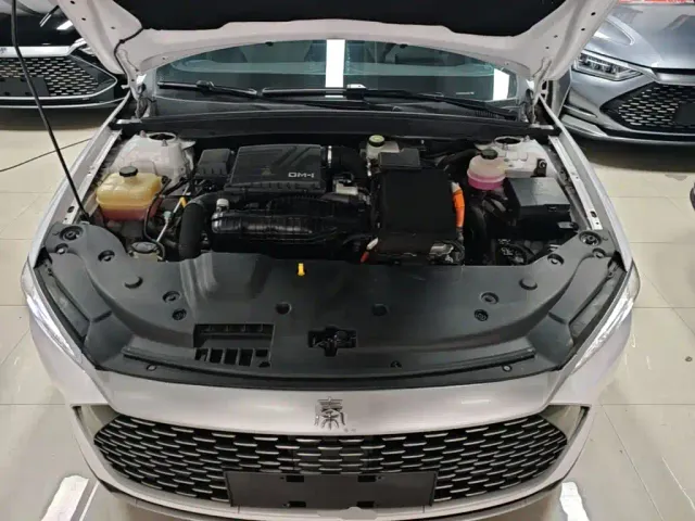 BYD Qin PLUS — Фото автомобиля 19