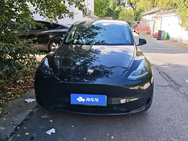 Tesla Model Y — Фото автомобиля 2