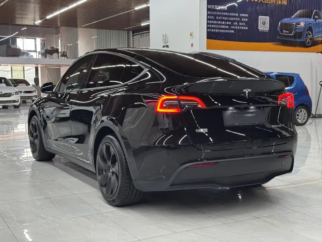Tesla Model Y — Фото автомобиля 4