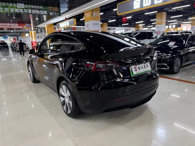 Tesla Model Y — Фото автомобиля 11