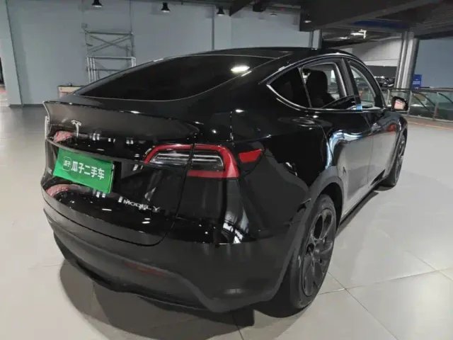 Tesla Model Y — Фото автомобиля 6