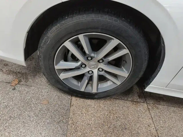 Honda Civic — Фото автомобиля 22
