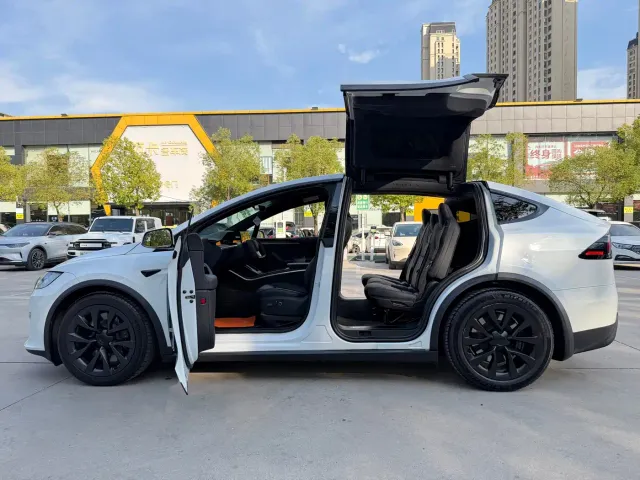 Tesla Model X — Фото автомобиля 12