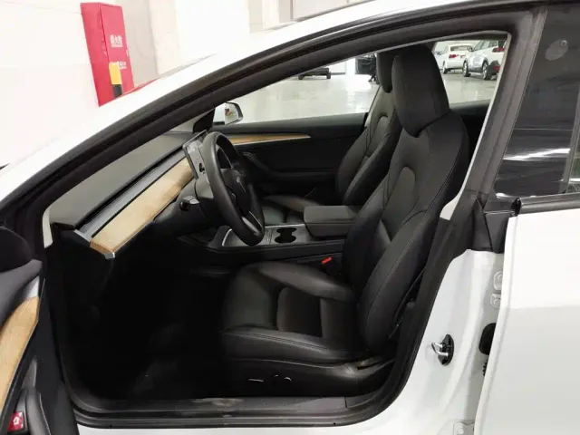 Tesla Model 3 — Фото автомобиля 10