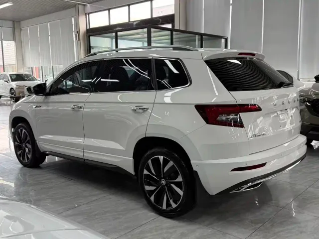 Skoda Karoq — Фото автомобиля 10