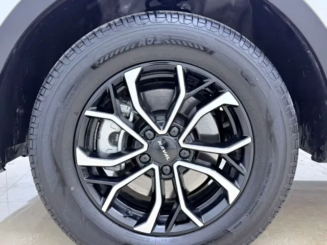 Haval H6 — Фото автомобиля 25
