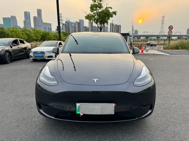 Tesla Model Y — Фото автомобиля 2