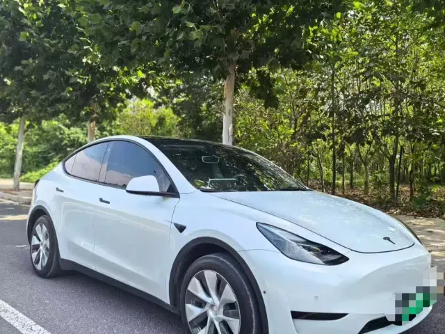 Tesla Model Y — Фото автомобиля 2