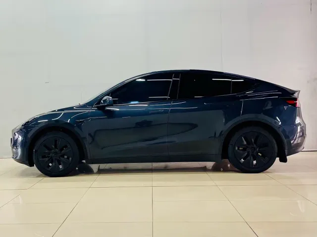 Tesla Model Y — Фото автомобиля 4