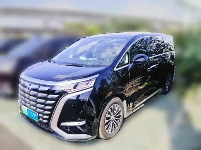 Фотография автомобиля — Denza D9