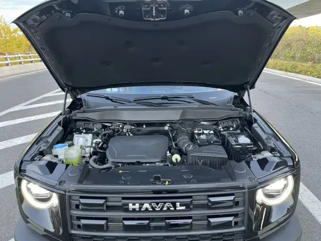 Haval Big Dog — Фото автомобиля 10