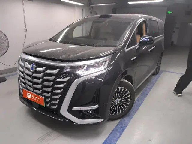 Фотография автомобиля — Denza D9