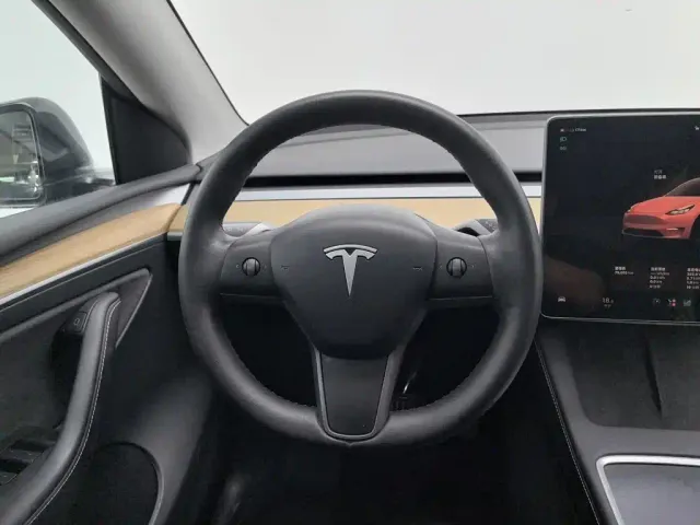 Tesla Model Y — Фото автомобиля 11