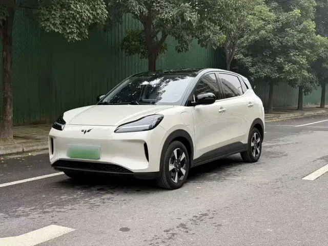 Фотография автомобиля — Wuling Binguo PLUS