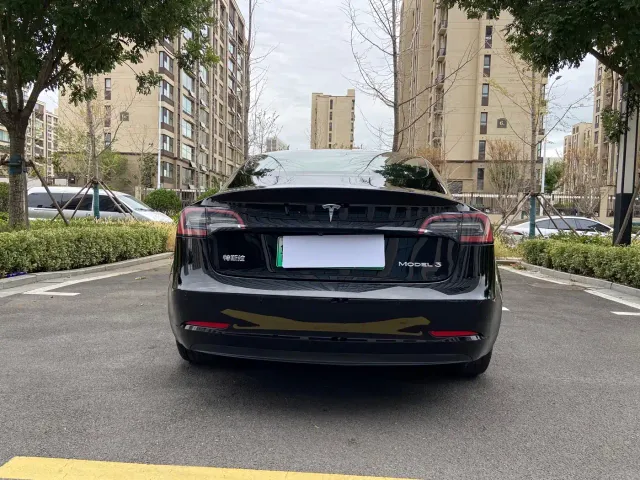 Tesla Model 3 — Фото автомобиля 4