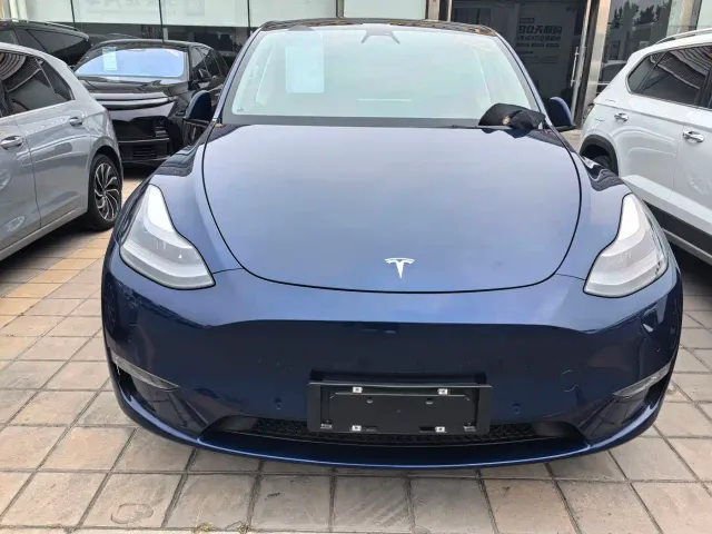 Tesla Model Y — Фото автомобиля 2