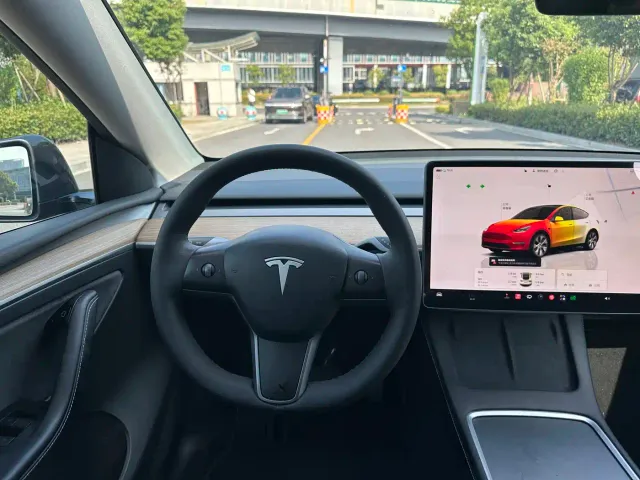 Tesla Model Y — Фото автомобиля 10