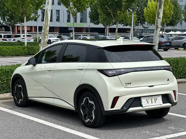 BYD Dolphin — Фото автомобиля 6