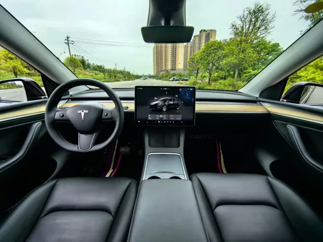 Tesla Model Y — Фото автомобиля 9