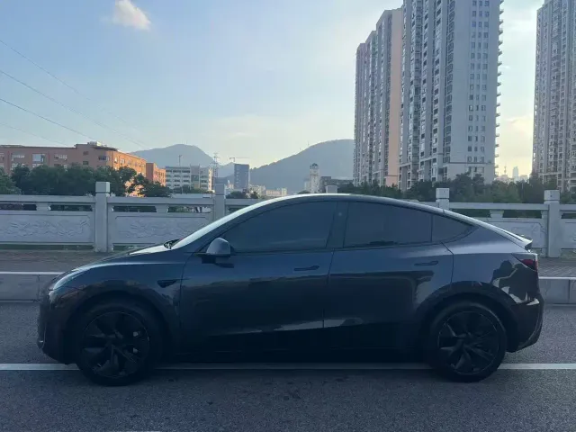 Tesla Model Y — Фото автомобиля 4