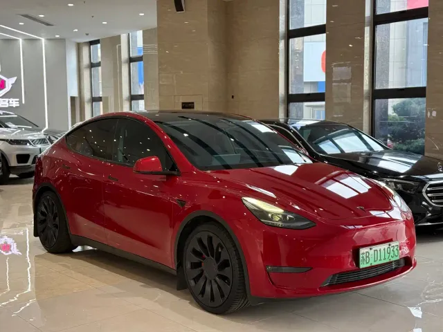 Tesla Model Y — Фото автомобиля 3