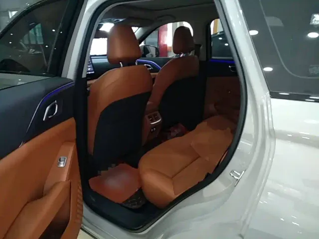 Haval Xiaolong MAX — Фото автомобиля 16