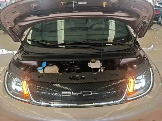 BYD Dolphin — Фото автомобиля 19