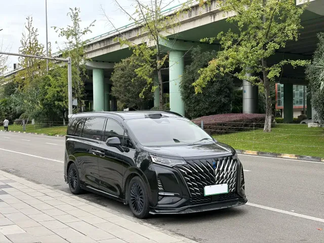 Denza D9 — Фото автомобиля 3