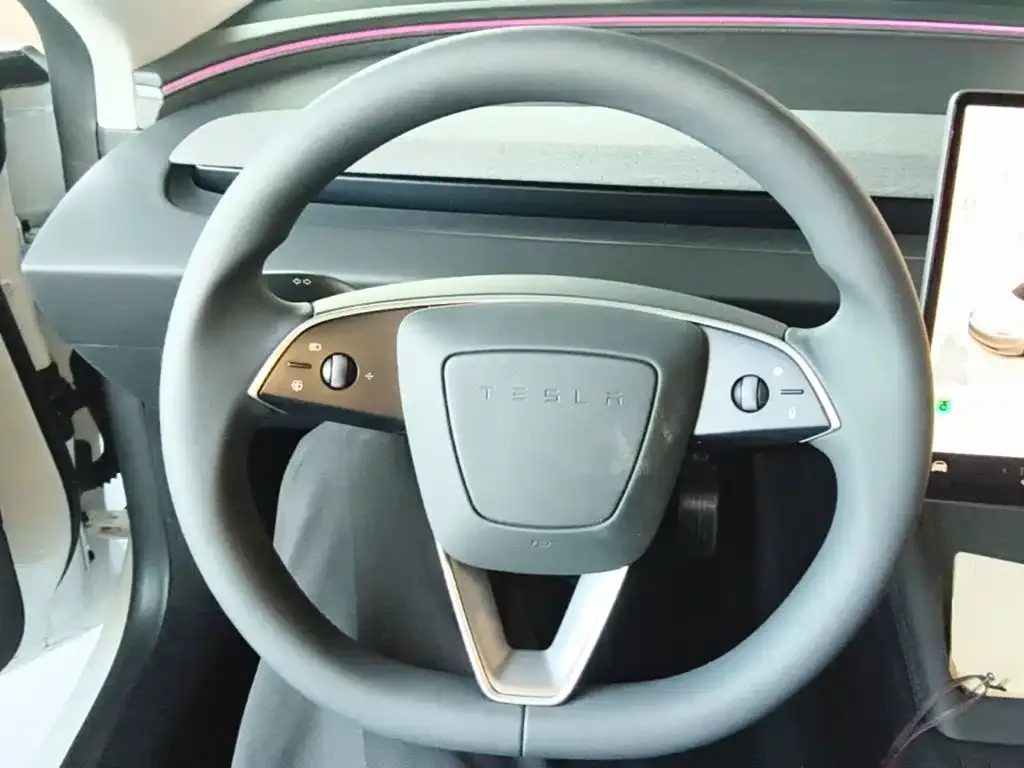 Tesla Model 3 2025 Model Year Facelift Rear-Wheel Drive — Фото автомобиля 10