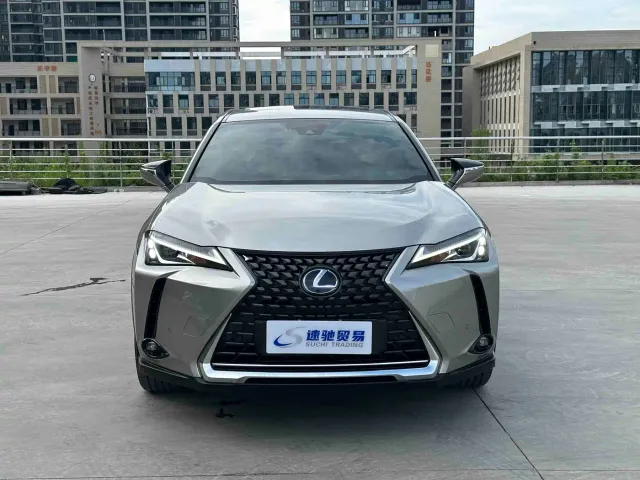 Lexus Lexus UX Electric 2020 300e Pure Yue Edition — Фото автомобиля 2