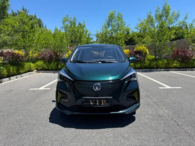 Фотография автомобиля — Changan Benben E-Star
