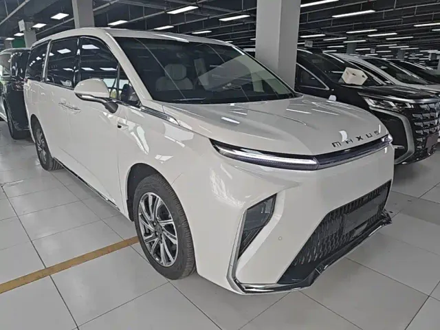 Maxus Dajia 9 — Фото автомобиля 3