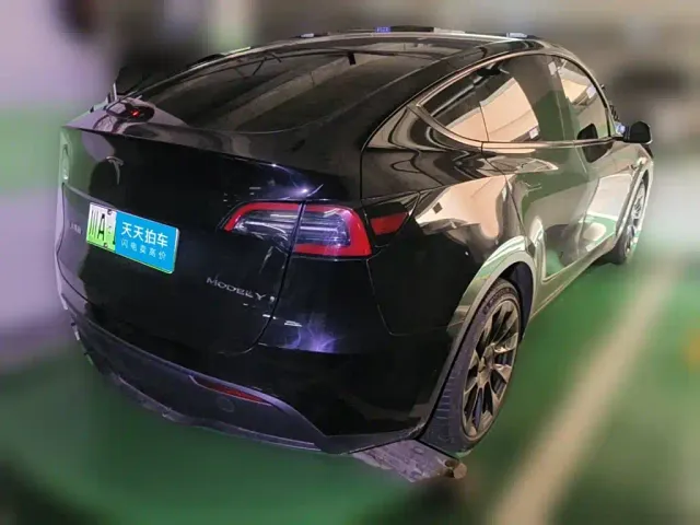 Tesla Model Y — Фото автомобиля 2