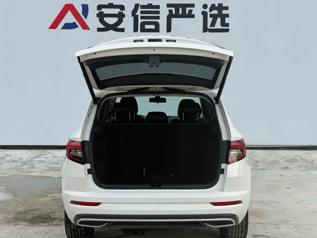 Skoda Karoq — Фото автомобиля 8